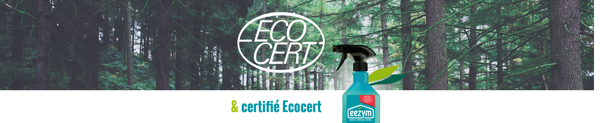 Clarico-Slider Style 3